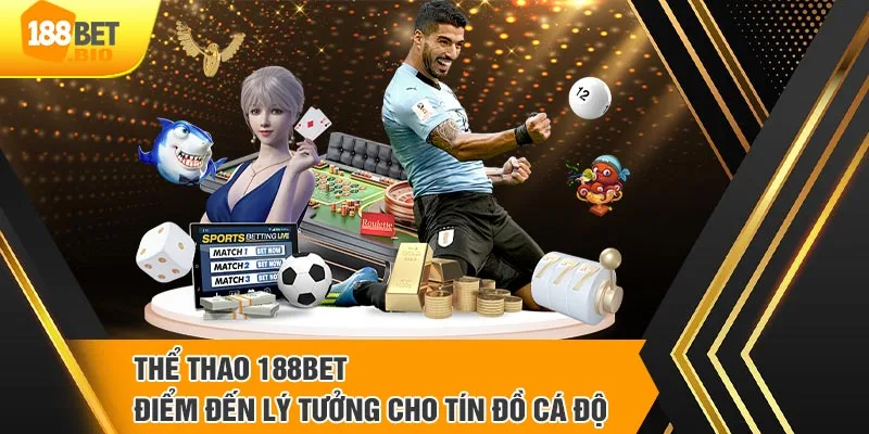 Phân tính trận đấu hợp lý là kinh nghiệm chiến thắng tại 188bet